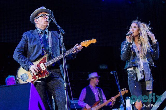 Elvis Costello @ Sasquatch Music Festival 2013