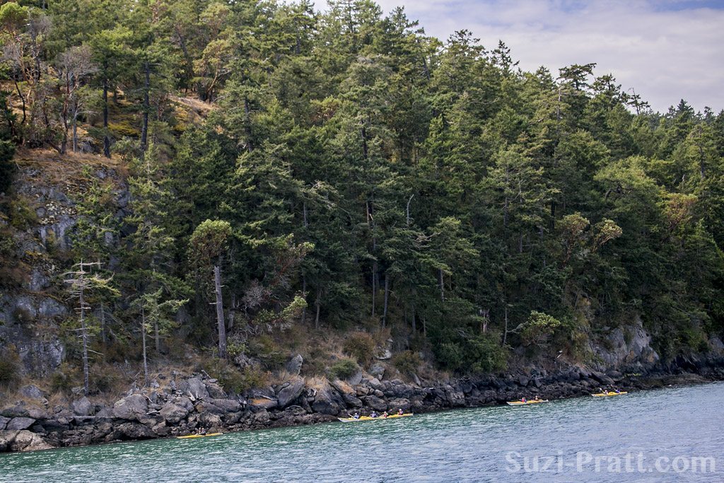 Puget Sound scenery San Juan Islands-03 Kayakers